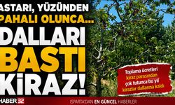 Astarı, Yüzünden Pahalı Olunca… Dalları Bastı Kiraz!