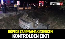 Köpeğe Çarpmamak İsterken Kontrolden Çıktı