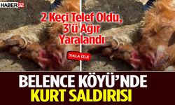 Belence Köyü’nde Kurt Saldırısı 2 Keçi Telef Oldu, 3'ü Ağır Yaralandı