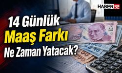 14 Günlük Maaş Farkı Ne Zaman Yatacak?