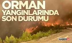 Orman Yangınlarında Son Durumu