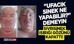 "Ufacık Sinek Ne Yapabilir?" Demeyin