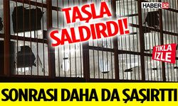 Taşla Saldırdı! Sonrası Daha da Şaşırttı