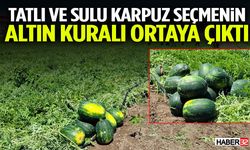 Tatlı Ve Sulu Karpuz Seçmenin Altın Kuralı Ortaya Çıktı