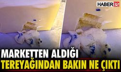 Marketten Aldığı Tereyağından Bakın Ne Çıktı