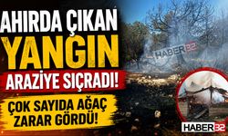 Gelendost’taki Ahır Yangını Araziye Sıçradı!