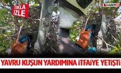 Yavru Kuşun Yardımına İtfaiye Yetişti