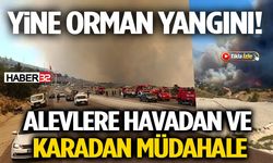 Orman Yangınına Uçak ve Helikopterlerle Müdahale