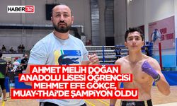 Mehmet Efe Gökçe, Muay-Thai’de Şampiyon Oldu