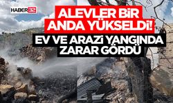 Alevler Bir Anda Yükseldi!-Ev ve Arazi Yangında Zarar Gördü