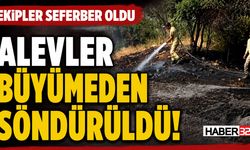 Sütçüler'de Korkutan Yangın!