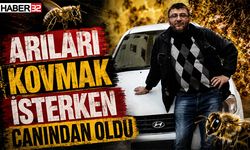 Arıları Kovmak İsterken Canından Oldu
