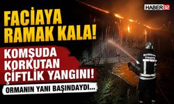 Çiftlik Yangınında Faciaya Ramak Kala!