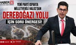 Milletvekili Halıcı'dan, 'Dereboğazı' Soru Önergesi!