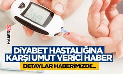 Diyabet Hastalığına Karşı Umut Verici Haber