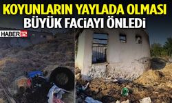 Koyunların Yaylada Olması Büyük Faciayı Önledi