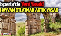 Isparta’da Yeni Yasak! Bu Alanlarda Hayvan Otlatmak Artık Yasak