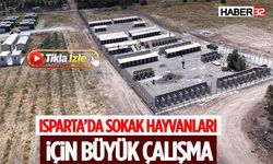 Isparta’da Sokak Hayvanları İçin Büyük Çalışma