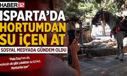 Isparta’da Hortumdan Su İçen At Gündem Oldu!
