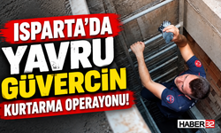Isparta’da Yavru Güvercin Kurtarma Operayonu!