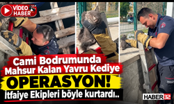 Cami Bodrumunda Mahsur Kalan Kediye Operasyon!