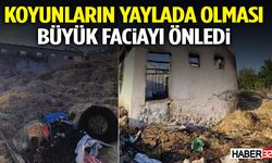 Koyunların Yaylada Olması Büyük Faciayı Önledi