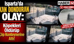 'Köpekleri Öldürüp Çöp Konteynerine Attı' İddiası!