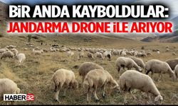 Bir Anda Kayboldular: Jandarma Drone ile Arıyor