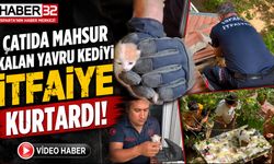 Çatıda Mahsur Kalan Yavru Kediyi İtfaiye Kurtardı!