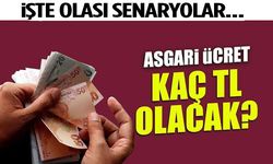 Asgari Ücret Kaç TL Olacak?