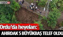 Ordu’da heyelan: Ahırdaki 5 büyükbaş telef oldu