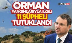 Orman Yangınlarıyla İlgili 11 Şüpheli Tutuklandı