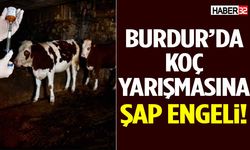 Burdur’da Koç Yarışmasına Şap Engeli!