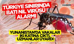 Türkiye Sınırında Batı Nil Virüsü Alarmı