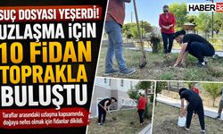 Suç Dosyası Yeşerdi! Uzlaşma İçin 10 Fidan Toprakla Buluştu