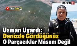 Uzman Uyardı: Denizde Gördüğünüz O Parçacıklar Masum Değil
