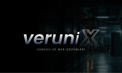 Web Hosting Seçerken Disk, RAM ve CPU Neden Önemlidir?
