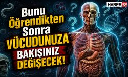 Bunu Öğrendikten Sonra Vücudunuza Bakışınız Değişecek!