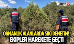 Ormanlık Alanlarda Sıkı Denetim! Ekipler Harekete Geçti