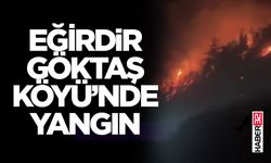 Eğirdir Göktaş Köyü’nde Yangın