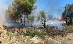 Antalya’da zirai alanda çıkan yangın büyümeden söndürüldü
