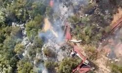 Antalya’da ormanlık alanda yangın