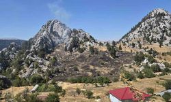 Alanya’nın iki ayrı mahallesindeki kısmen ormana sıçrayan yangın söndürüldü