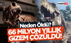 Dünyanın En Büyük T-Rex'i Nasıl Neden Öldü?