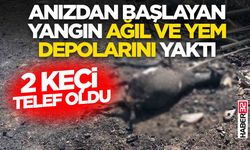 Anızdan başlayan yangın ağıl ve yem depolarını yaktı