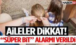 Aileler Dikkat! “Süper Bit” Alarmı Verildi