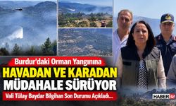 Orman Yangınına Havadan ve Karadan Müdahale Sürüyor