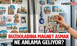 Buzdolabınız Magnetlerle Doluysa Şaşıracaksınız!