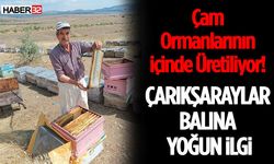 Çam Ormanlarının İçinde Üretiliyor! Çarıkşaraylar Balına Yoğun İlgi