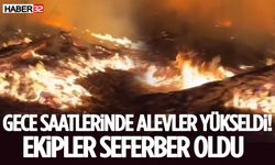 Gece Saatlerinde Alevler Yükseldi! Ekipler Seferber Oldu